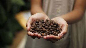 cafeína